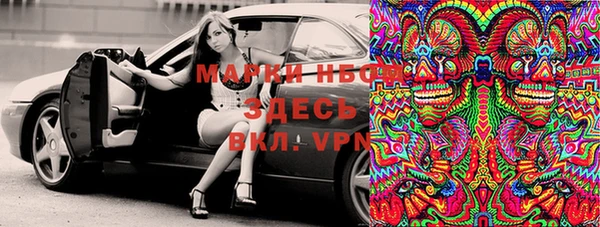 кокс Дмитриев