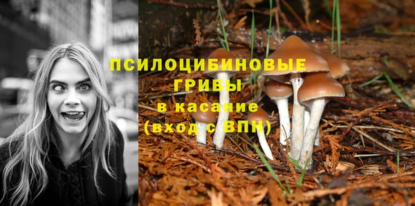 а пвп мука Дмитровск