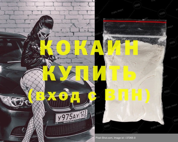 кокс Дмитриев