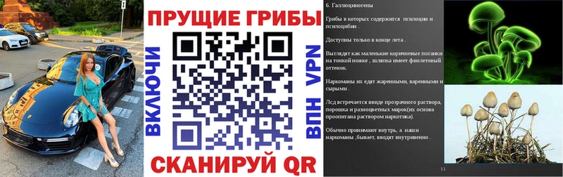 наркошоп  Ефремов  МЕГА ТОР  Галлюциногенные грибы мухоморы 